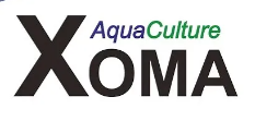 Xoma AB Logotyp